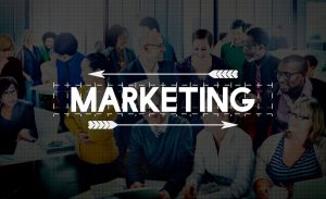 digital marketing team