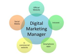 Digital Marketing Manager