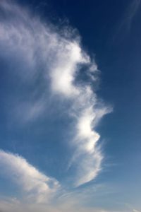 pareidolia.